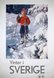 Vinter i Sverige2
