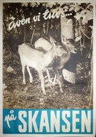 skansen-djur-radjur-Stockholm-sweden