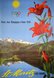 st-Moritz-Les-Bains-Olympiques-1948-original-vintage-poster