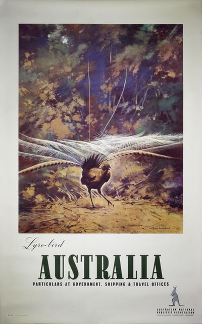Australia Lyrebird  original poster designed by Northfield, James (1888-1973)