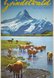 Grindelwald Jungfrau Schweiz Suisse Switzerland Bachalpsee Schreckhorn
