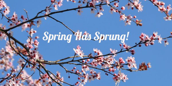 Spring Has Sprung