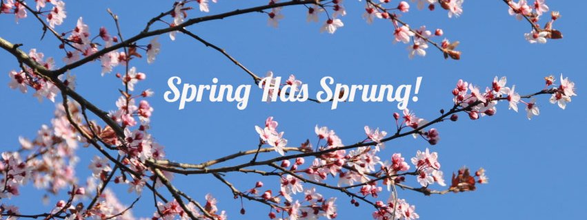 Spring