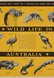 Wild life in Australia