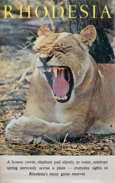 Rhodesia - Lion original poster 