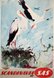 SAS Stork 50