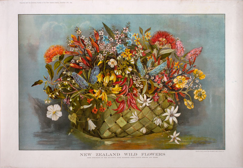 New Zealand Wild Flowers original poster designed by Brown, Jessie