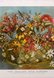 New Zealand Wild Flowers