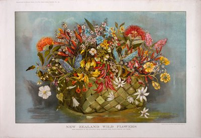 New Zealand Wild Flowers original poster designed by Brown, Jessie