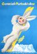 Garmisch-Partenkirchen Winter Bunny