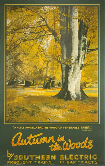 Southern Electric - Autumn In The Woods original poster 