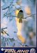 Finnair yellowhammer
