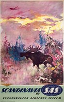 SAS - Scandinavia - Elk Moose