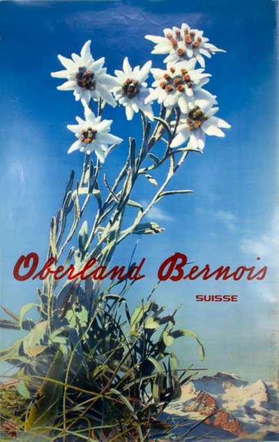 Oberland Bernois Suisse original poster designed by Photo: Albert Steiner 