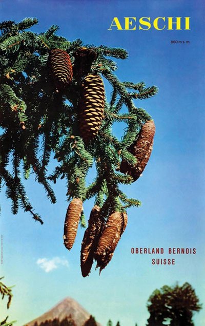 Aeschi Oberland Bernois Suisse original poster 