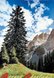Oberland Bernois Switzerland