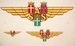 SAS Scandinavian Airlines System Logo Wing