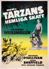 Tarzans Hemliga Skatt