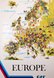 SAS Europe Map 1970s