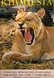 Rhodesia LIoness 