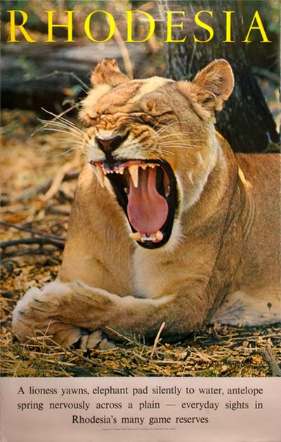 Rhodesia Lioness original poster 