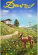 Davos Summer Schweiz Suisse Switzerland