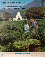 South Africa Luscious Vines Cape Province