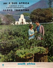 South Africa Luscious Vines Cape Province original vintage poster