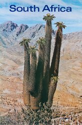 South Africa Halfmens Plants original vintage poster