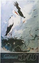 SAS - Scandinavia - White stork